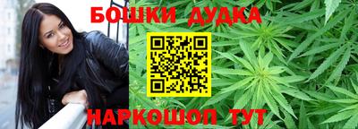 jwh Сланцы