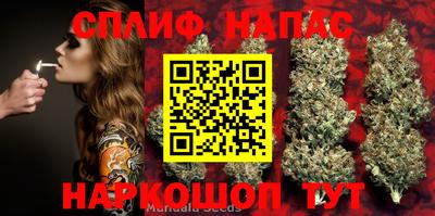 jwh Сланцы