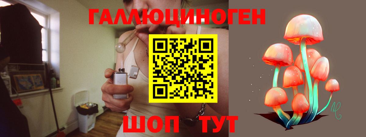 Псилоцибиновые грибы Psilocybe  Вход с VPN  Павловский Посад 